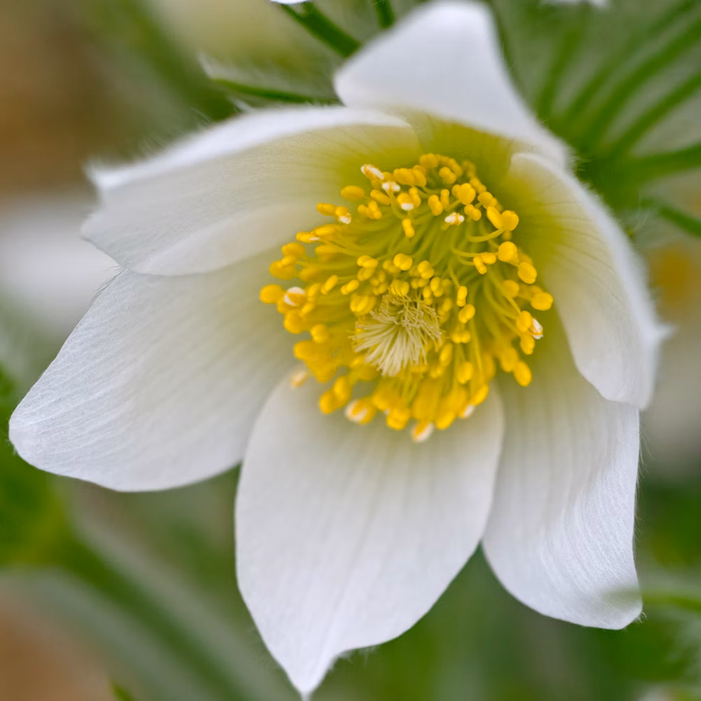 2f28fde0ba017fe0318cad4b29f408a6