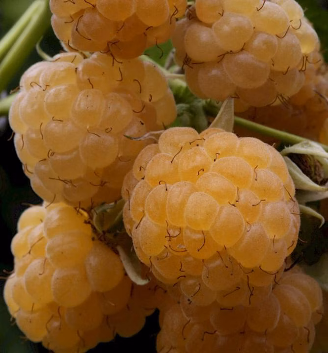 2f4b203114f8d8a6a902acc188c289f1