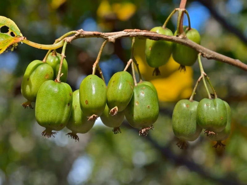 2f8323acd1969d0ad09fb583be37664a