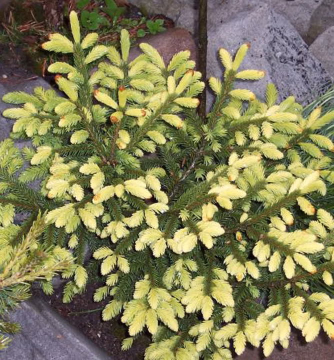 2f8eb1ad38b260a13a09ab4514d481b7