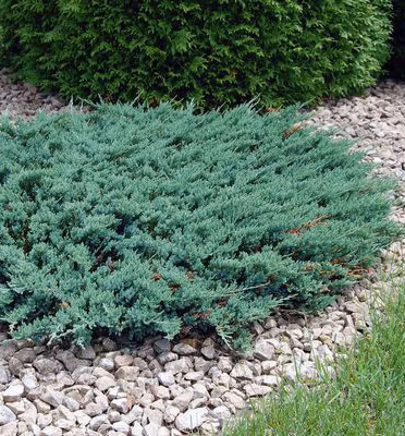 2fa32e65fd4ecf9b3fbd9882f0f0f332