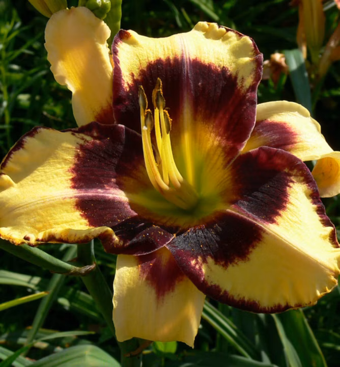 303daa341d85b698454c459ddb9b4cb7