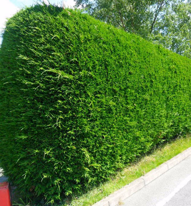 304a9bdc4c11f635830bc86245f20d0f