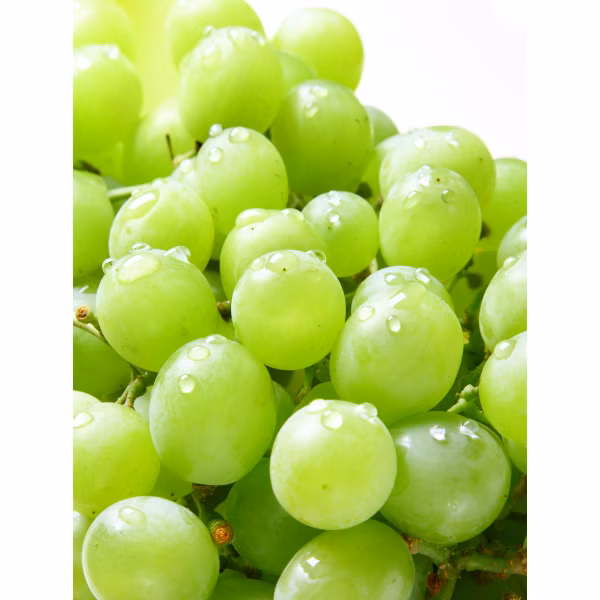 30507728a0c9599501767d8e576c18a6