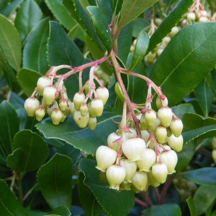 30518ec4e0aa7984fc97a0a07406f823