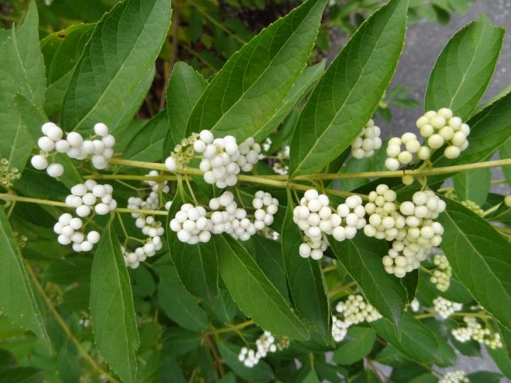 30629ddea8e749af5c3997340906bdd2