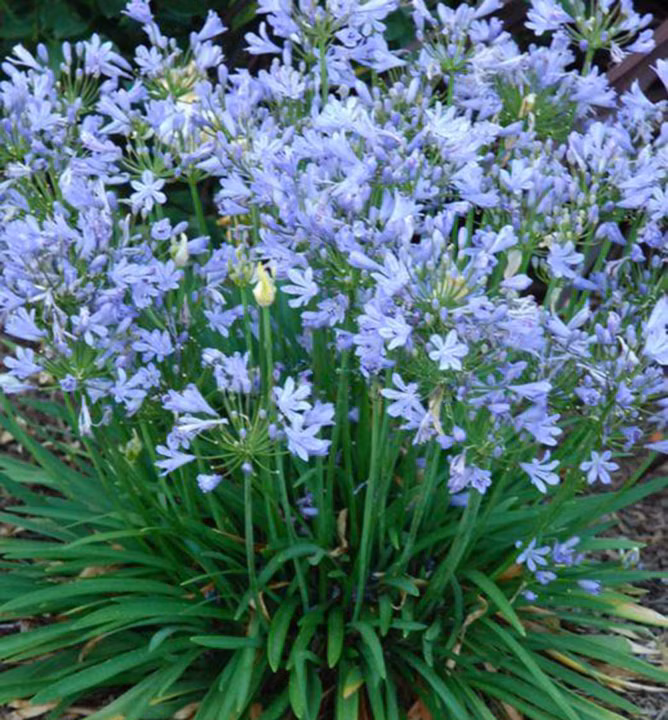 30819351ff7aecb743c7bda6e34c5205