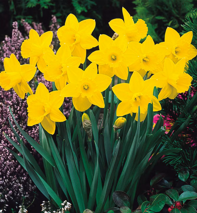 30c46f3d29f7aff382d31c8fcbcf5c8a