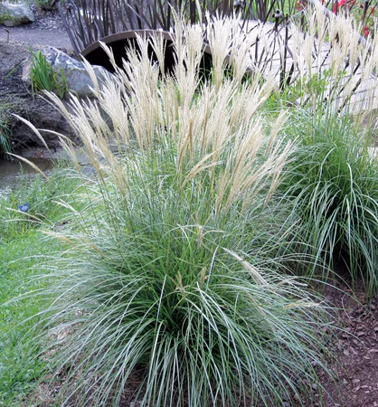 30ecb9e1129d6e963c483201cb6d00bc