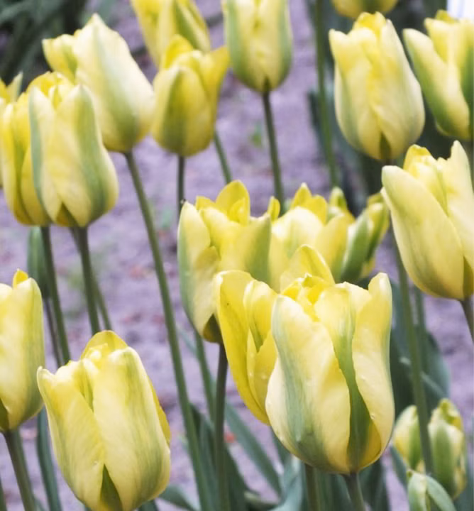 30f7581bc8abfcc43300c5e088cfa882