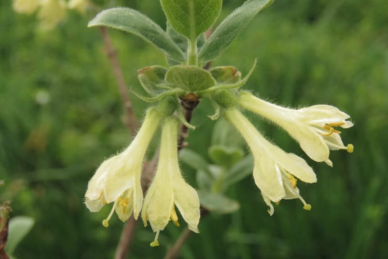 3140de51d3f7e9e7ca1fe022d19b93eb