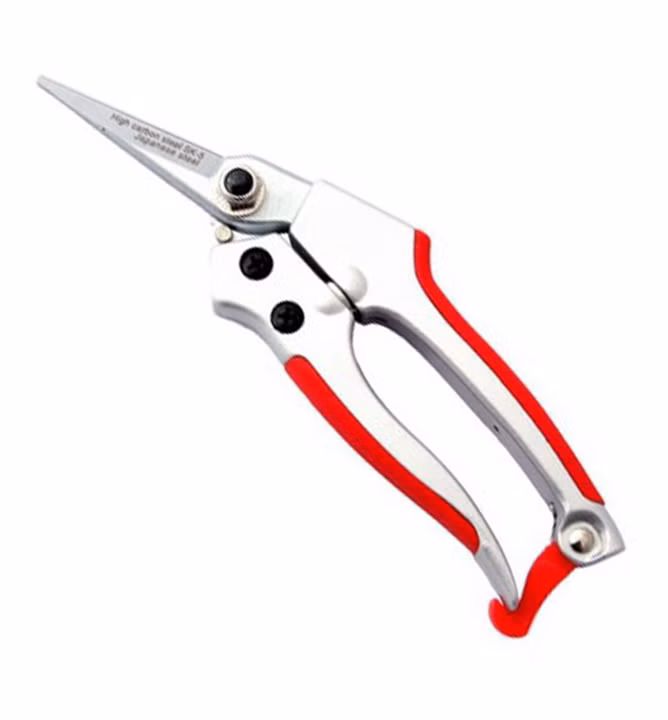 31665b7b2833edd1dbc899c1ab4fe9bf