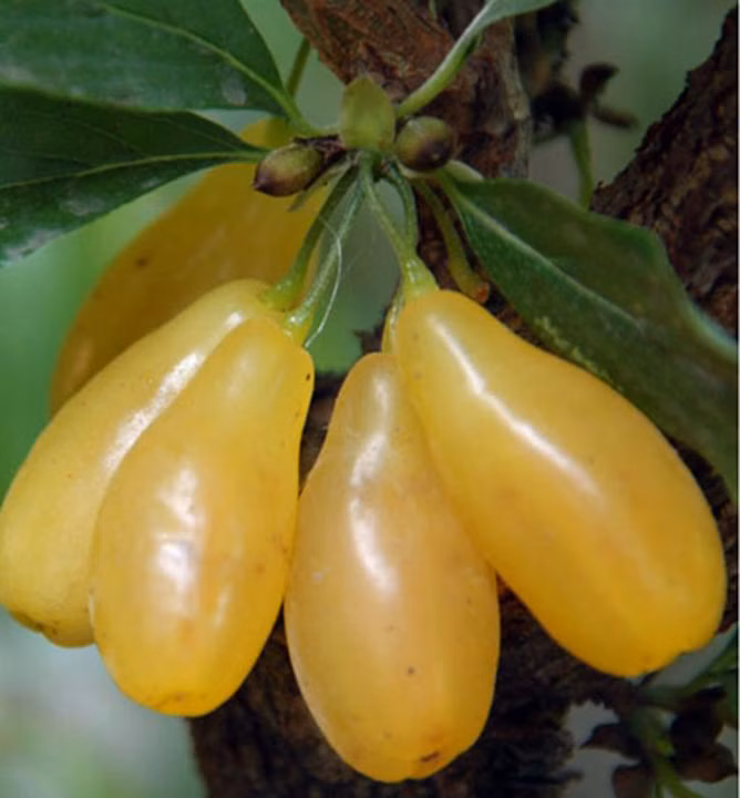 3181aac7e5294955d7beb968d301c43e