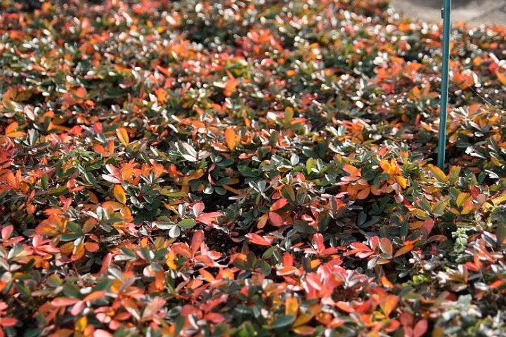 319829e7934a1c752f1f58b90f315ec3