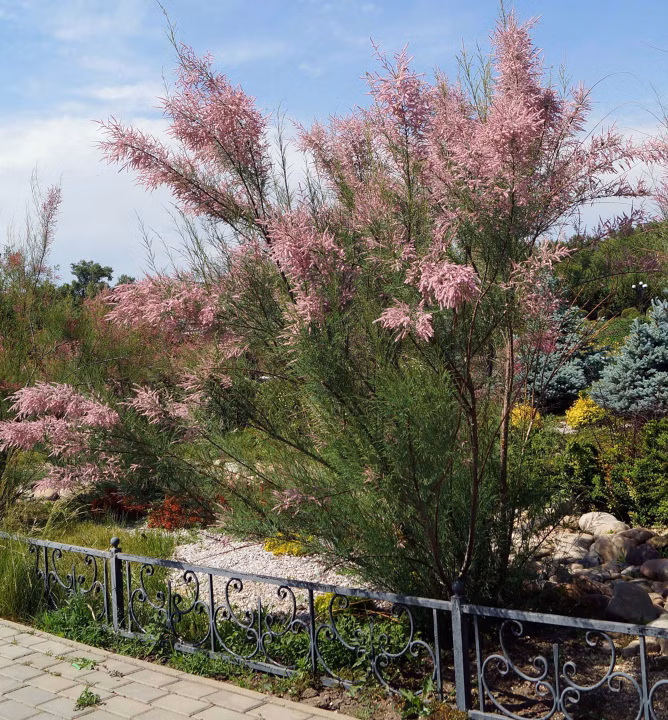 31a2be525d2025a73b06af3e382203ea