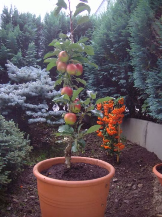 31f3b62f1900065c62806e5cc446ac0d