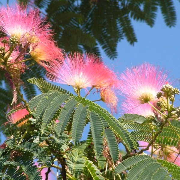 31f6f68328e80b4578cfae13ccfb6bc5