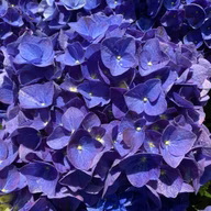 329292909020d921aaea4a6b1ab0290e