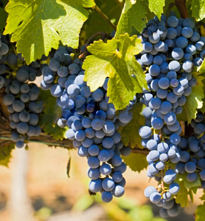 32ba7948d1938c4c8c85b967601755d1