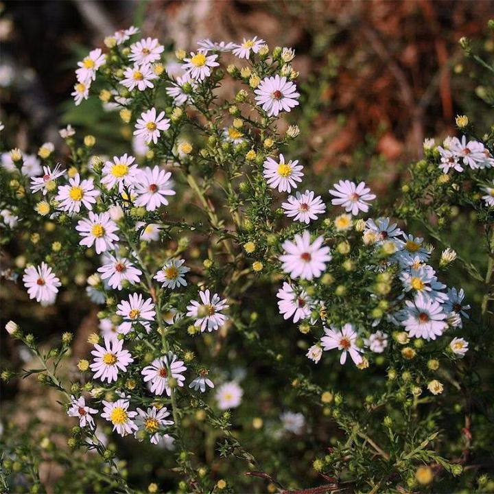 32be800fee22ccdd208d517a5e55728f