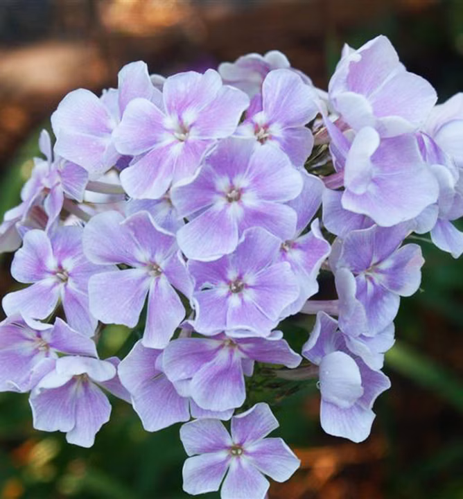 32ed8ab491f9e0abe4dfd20b981d83d7