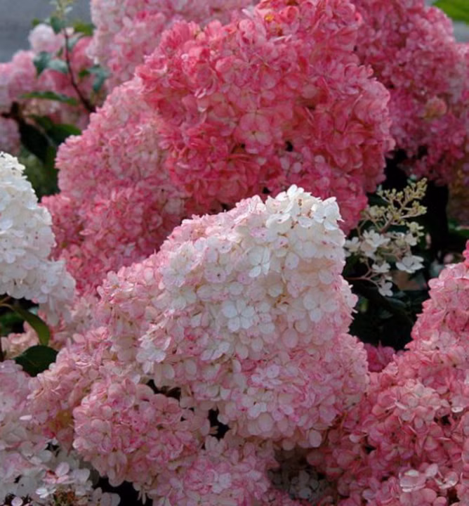 32f0acf2c99d99b69f532940d05d111f