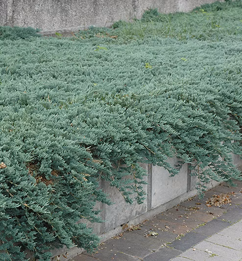 331b2bd2626e148d7a8c65b170466e95