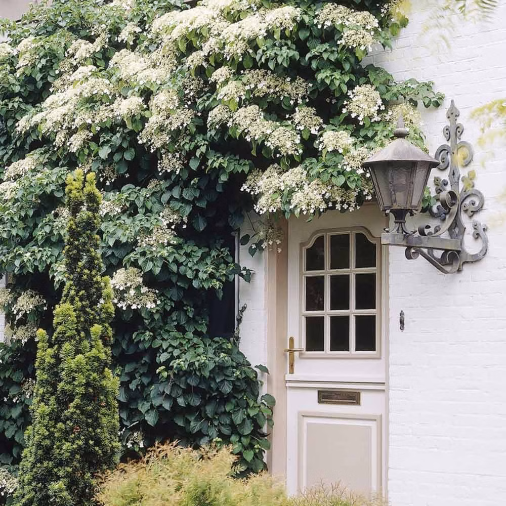 3323fcb596392fc36fff3887d726ff29