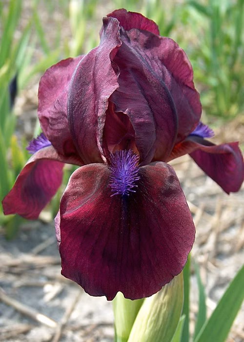 33269d76dd77f0b7cd5df591e47a64b0