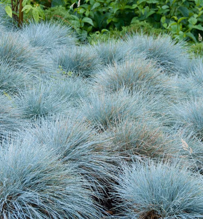 332ef1b5b3eb704dc90097e570d2a354