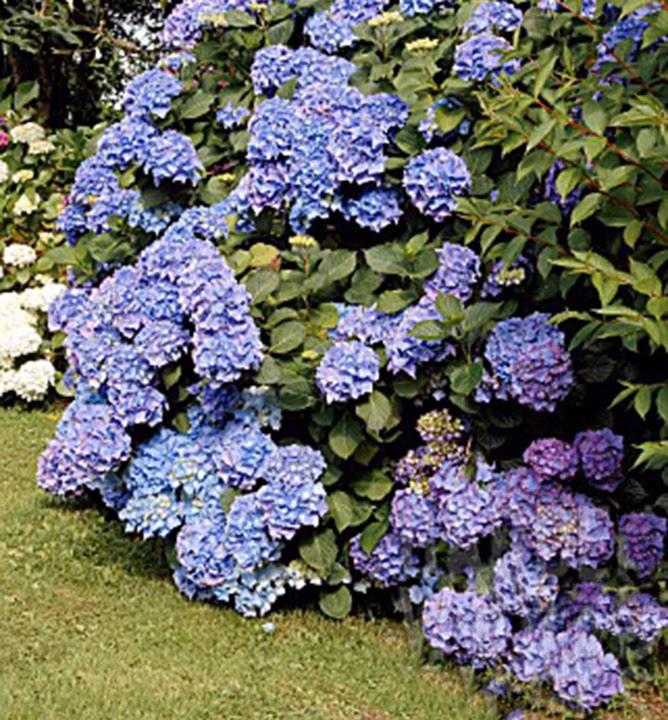 332f33143a8f9664bd1d20916c4c80b0