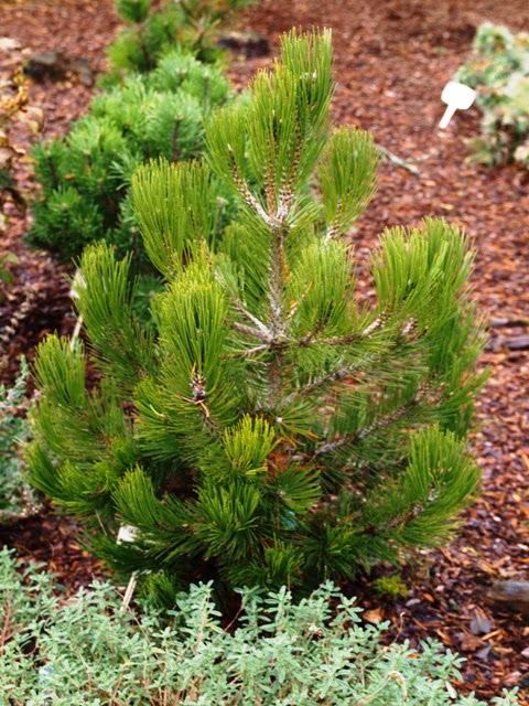 33d47419e5f3564fa6b9665c6df8b142