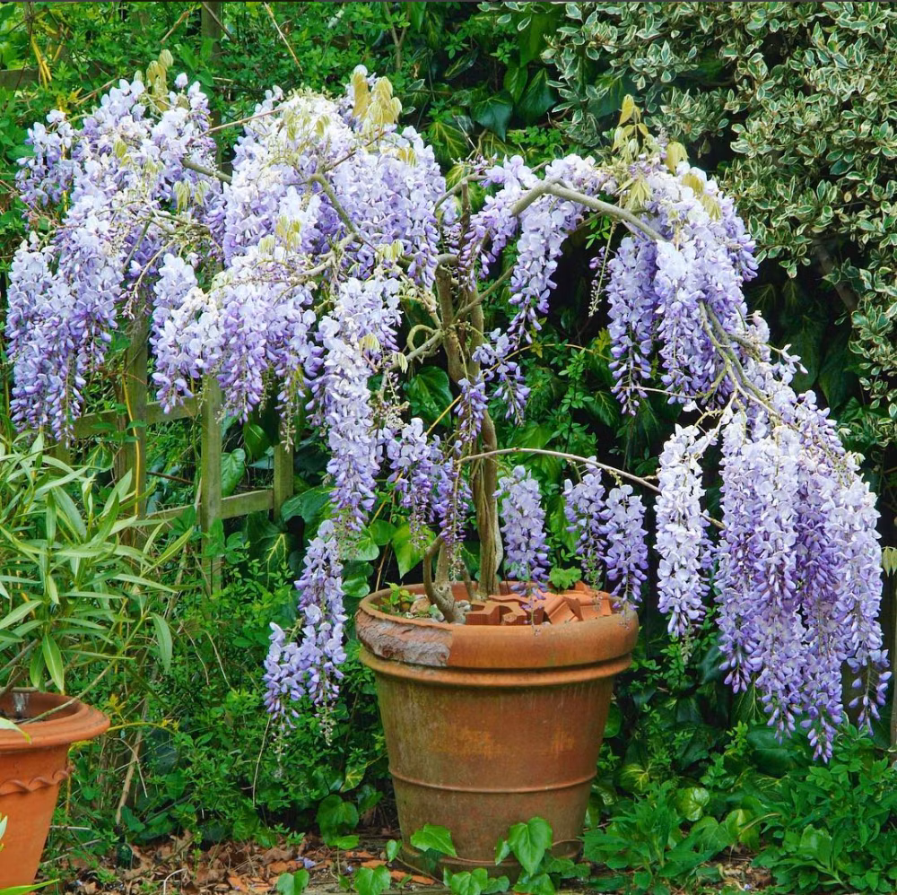 33ec4c0957a0827bc4fa714c84b54ff5