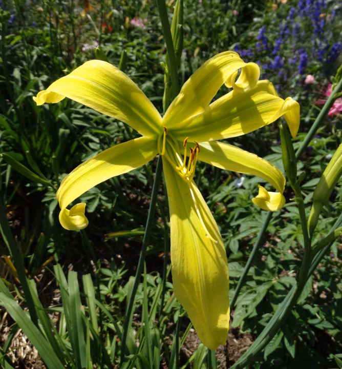 33f49bdecca383366ddbee822f04d3ec