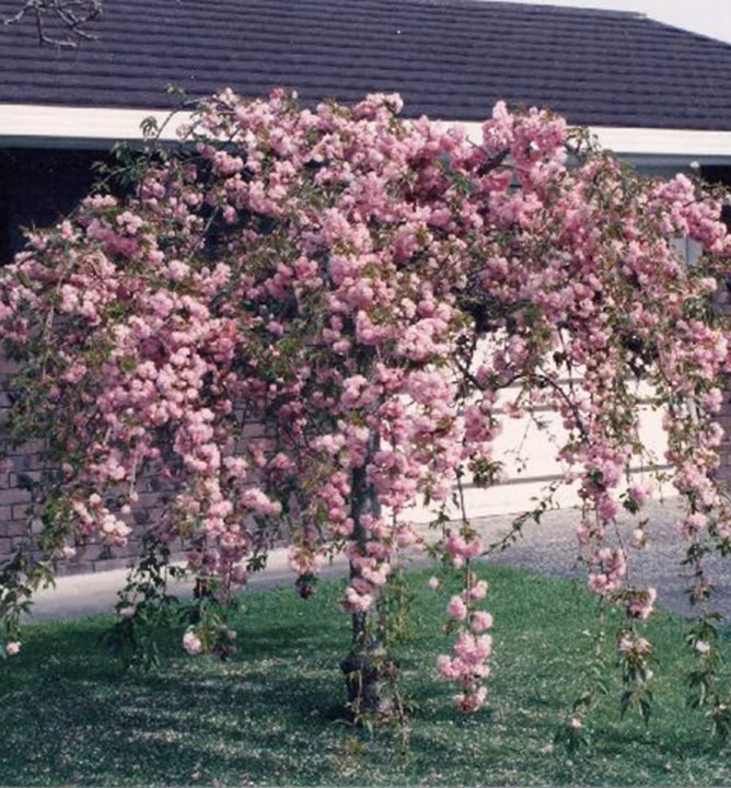 33f56f0103ccdc36ba1adf385a7aa9ce