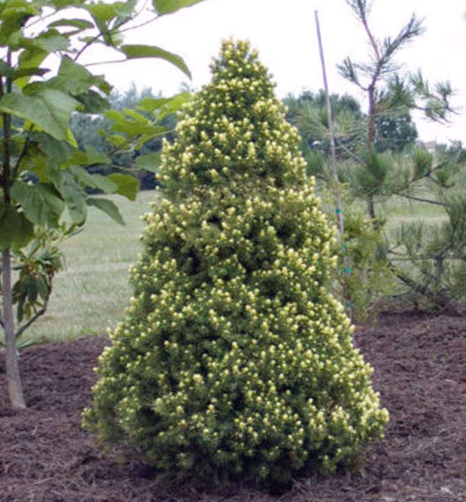 344a10b7e7274c7a12d30c04d3bd7022