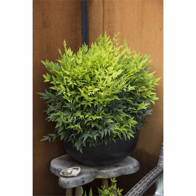 344ebdec525416c77b0400c2a757dae2