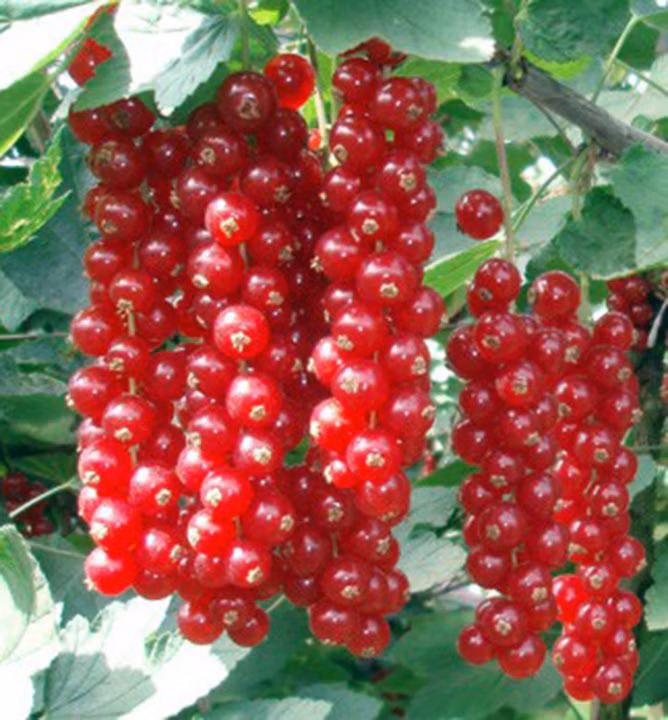 34554964a193f22191f76addd7957bd2