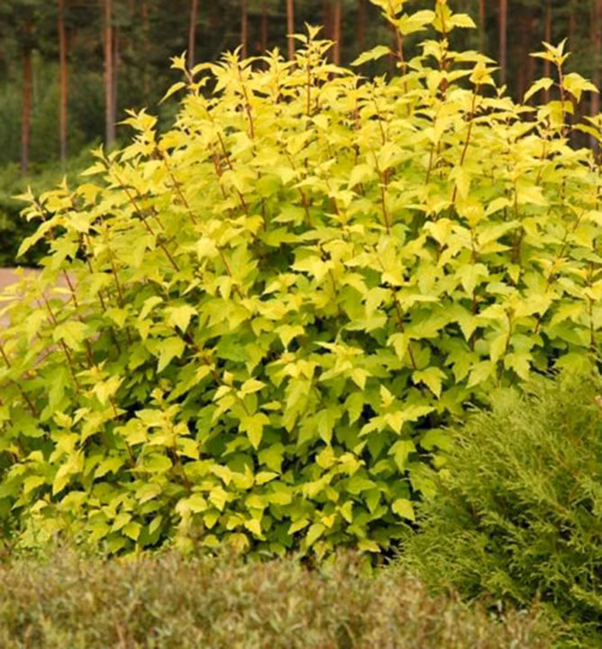 34618ecc02b1cda7dff88c10eb5eec98