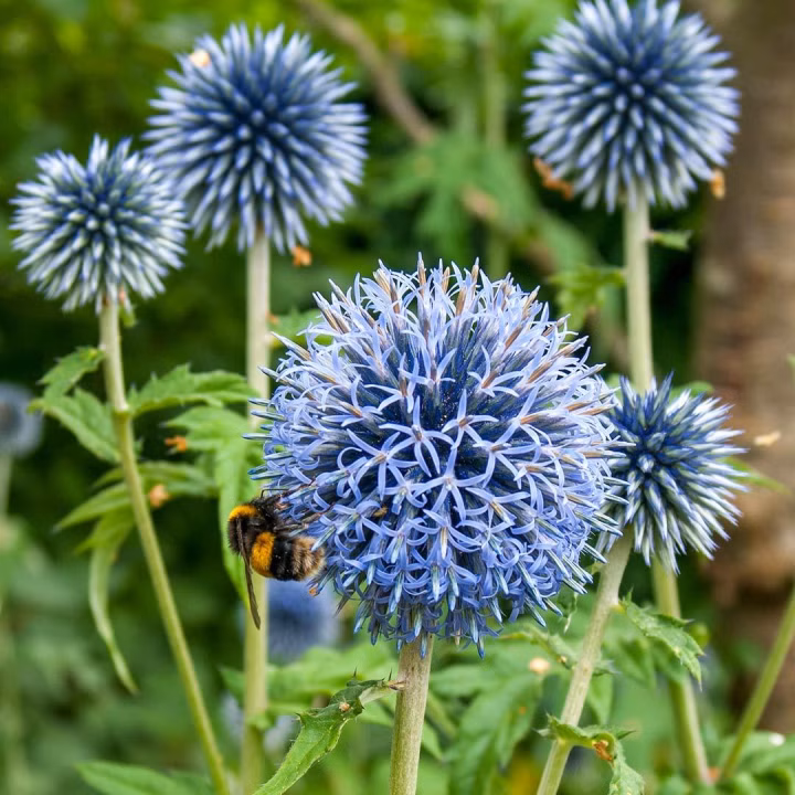 347770ec553a632360ed176ed2328373