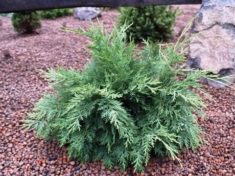 3481384d38916dc43aa87746f09f6b1c