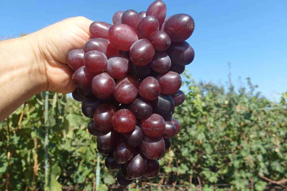 348966e839f5a2e64b93eb5e3cbd5bc3