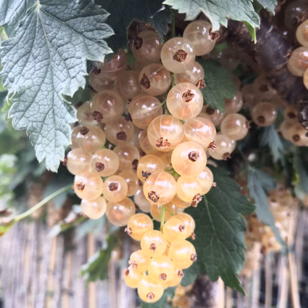 348de122deeb64b5a6a465a27f7dee76