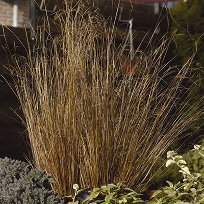 349acdab037c6199e09d6d449d7b45ef