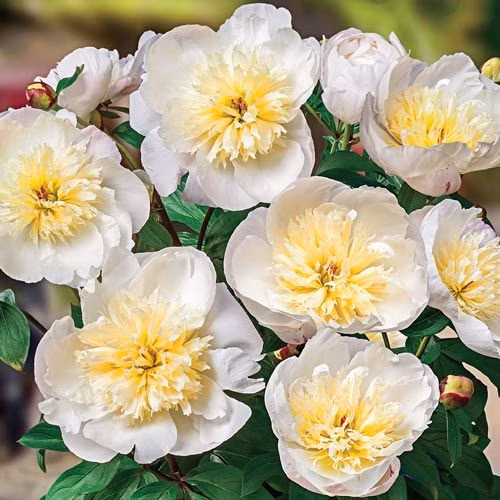 34d6534c8a4c9ca1e842db0d1a6b6df2