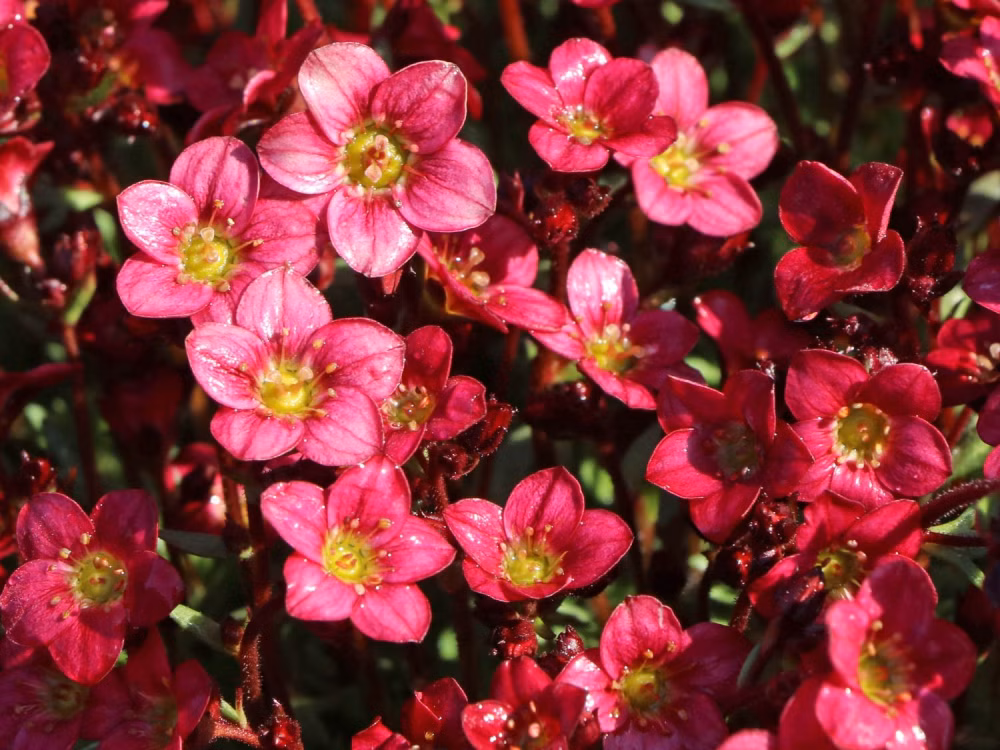 34d8b9792d48dc5f9d0bfcc0525a6558