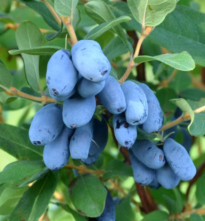 34fa1b40ad7c6548e816a3044fcfc8a5