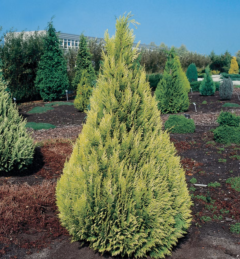 34fce74a0fad9bede8090137785af712