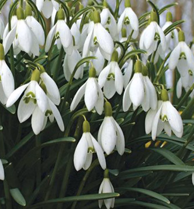 353cd63b11fae999399baf75cd814b33