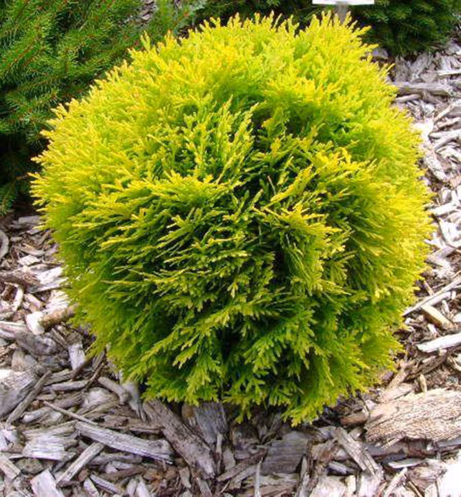 3561f8f4771ccee829c54f38ddf64a87